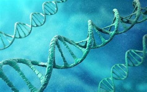 Genetically Modified Human Beings Could Exist By 2017 Researchers