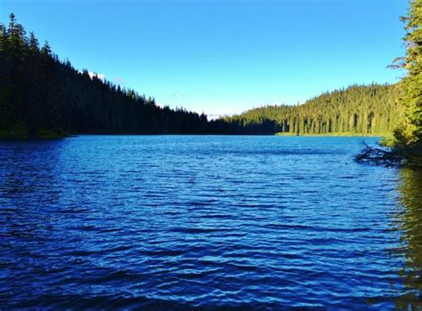 Council Lake Picture Of Ford Pinchot National Forest Washington