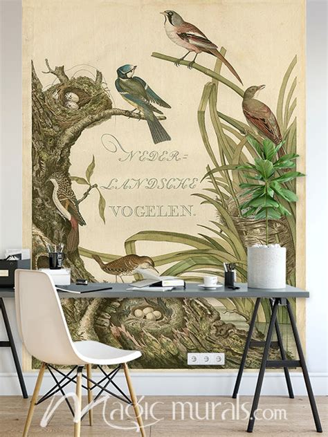 Sanctuary For Birds Wallpaper Wall Mural By Magic Murals