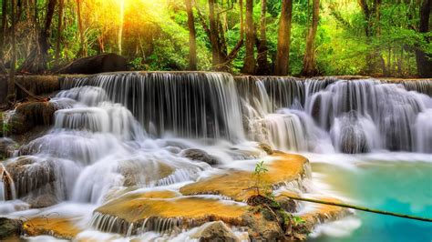 Beautiful Waterfall Stream In Green Trees Forest Background 4k Nature