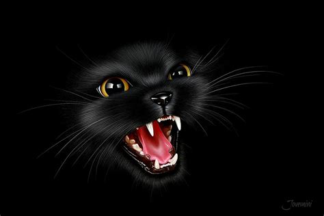 Злая черная кошка — 2 Kartinkiru