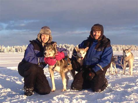 Discover Dog Sledding In Lapland Sweden Nature Travels