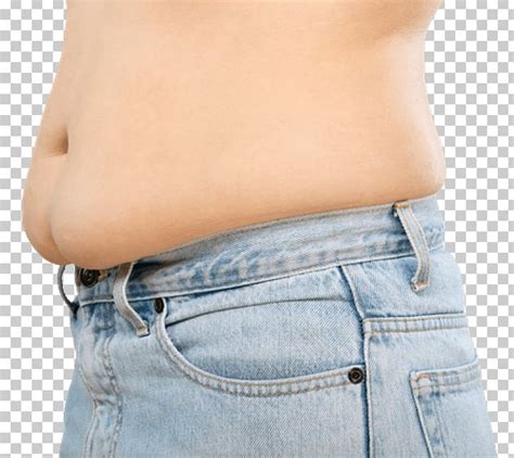 Waist Abdomen Abdominal Obesity Health Fat PNG Clipart Abdomen Abdominal Obesity Belly Body