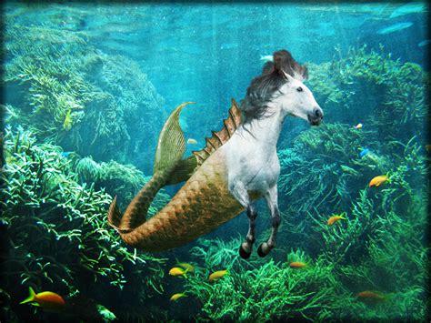 Hippocampus By Mikaboshi On Deviantart Fyre Satyr Mythological