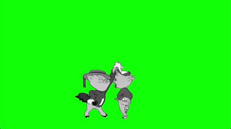 ️green Screen Effects Pigs Dancing Cartoon Youtube