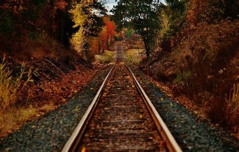 Tracks Fall Pictures Railroad Tracks Autumn Autumn Pictures Fall