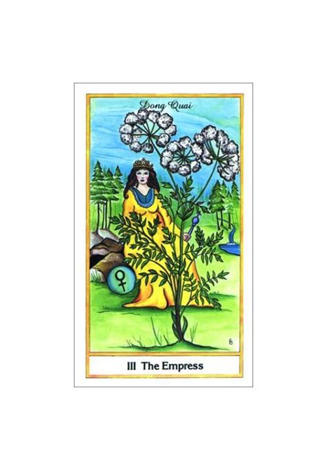 Herbal Tarot Deck — Lost Objects Found Treasures