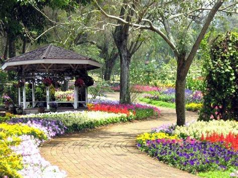 Di taman bunga yang cukup luas itu, pengunjung bisa berfoto sepuasnya dengan latar belakang hamparan bunga yang tengah mekar. Baground Taman Bunga