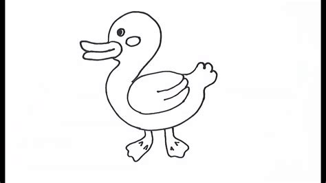 ¿cómo Dibujar Un Pato 🦆 Dibujo De Un Pato 🦆 Youtube