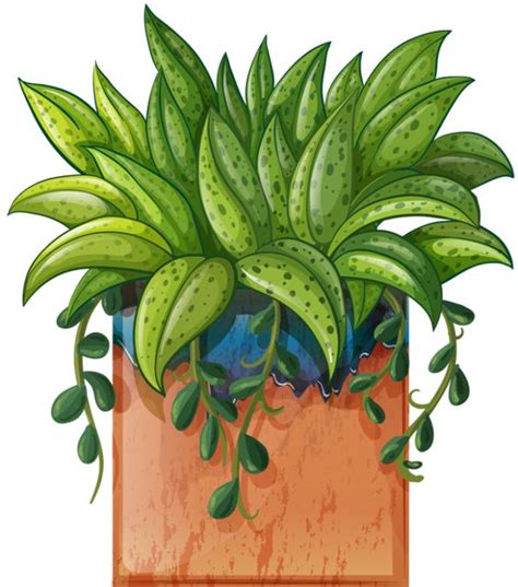 Clip Art Of Beautiful Plants For The Spring Garden Clip Art Library