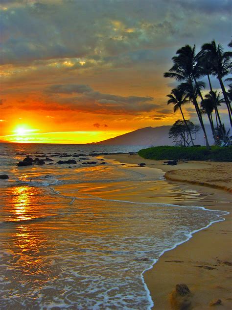 The Paradisiac Island Of Maui Hawaii