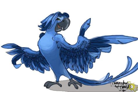 How To Draw Roberto From Rio 2 Drawingnow
