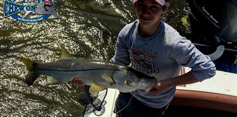 Big Snook In Shallow Water Overslot South Florida Snook Fishing