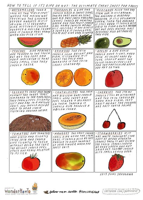 21 best images about Healthy Eating on Pinterest | Healthy ...