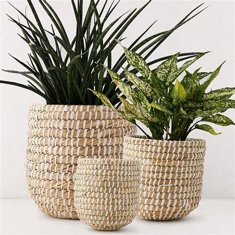 Seagrass Pot Plant Holder Sku C00080 Wholesale Viettime Craft