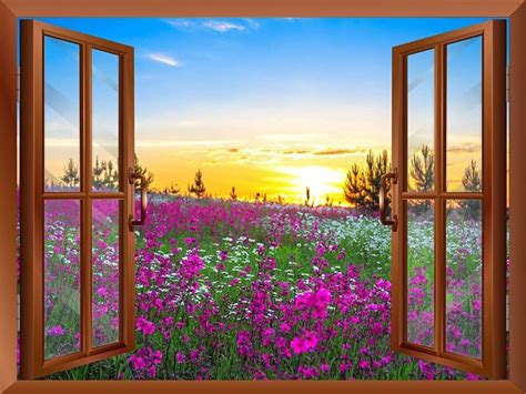 24.0 x 24.0 x 1.5 Wall26 - Beautiful Summer Sunrise over a Blossoming Meadow ...