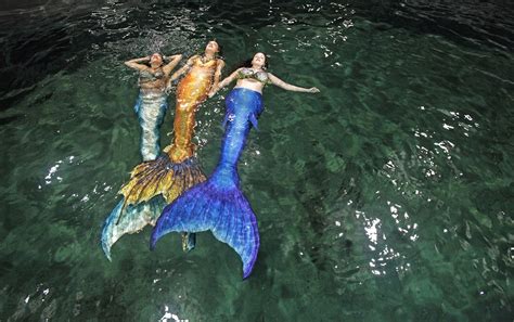 Mermaid Mutiny Krista Hill Left Mermaid Raina Stephanie Brown
