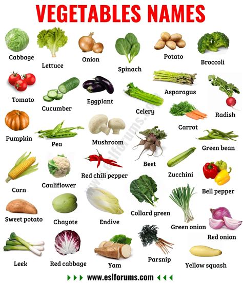 List Of Vegetables Names