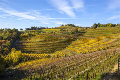 Friuli Wine Region, Italy | Winetourism