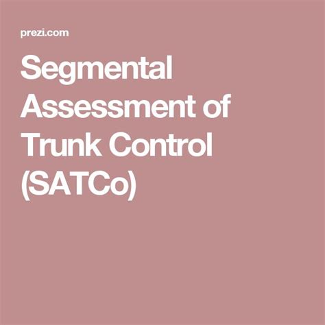 Segmental Assessment Of Trunk Control Satco Assessment Physical
