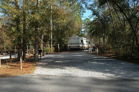 Blackwater River Florida State Parks Camping Guide Campsite