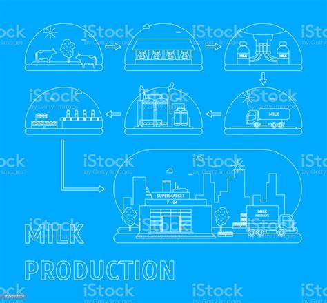 Milk Production Process Vector Stock Illustration Download Image Now