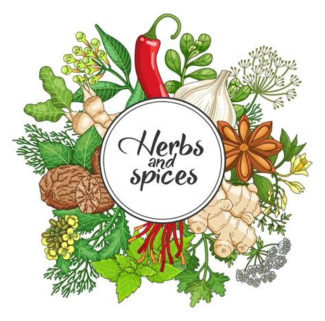 Herbs & Spices | Spices and herbs, Spice logo, Spices