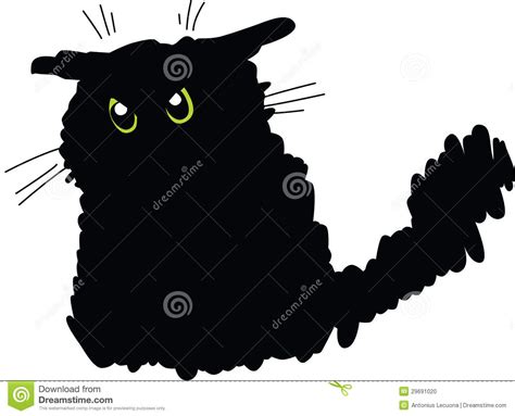 Grumpy Black Cat Stock Photo Image 29691020