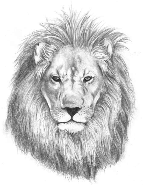 Sweet Realistic Grey Color Lion Portrait Tattoo Design Tattooimagesbiz