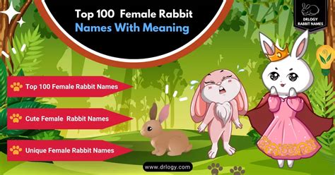 100 Best Female Rabbit Names With Meaning Drlogy Rabbit Names