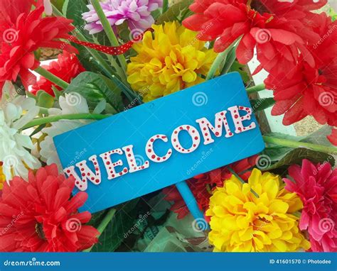 Welcome Sign Stock Photo Image Of Flower Present Bloom 41601570