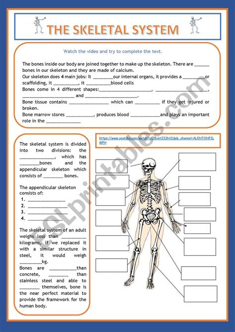 Skeletal System Worksheet