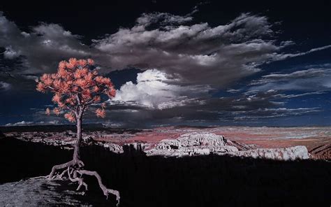 Why And How To Do Infrared Photography Reed Hoffmann