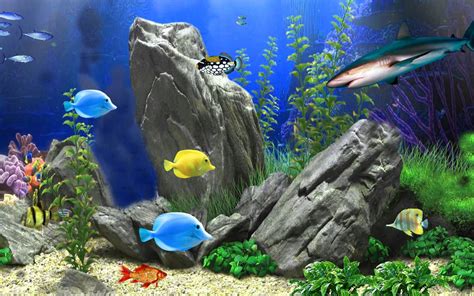 Peces Acuario Live Wallpaper For Android Apk Download