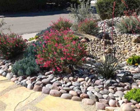 What Is Xeriscaping Its Drought Friendly Landscaping