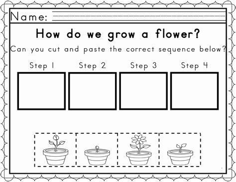 Life Cycle Of A Plant Coloring Page Coloring Home Free Plant Life