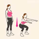 Fitness Exercises Squats