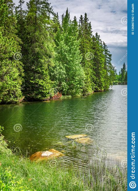 Stunning Mountain Lake In Strbske Pleso In Thetatra Mountains Stock