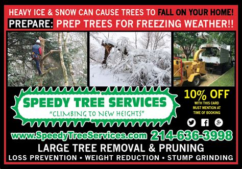 Winterize Your Trees Now Speedy Tree Services