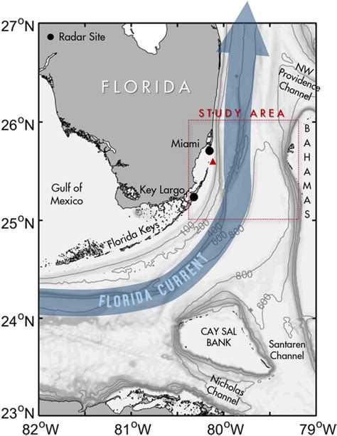 The Surface Velocity Structure Of The Florida Current In A Jet