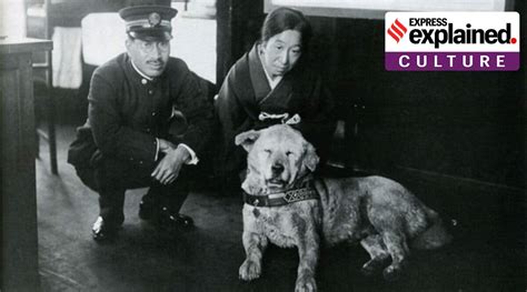 Hachiko The Worlds Most Loyal Dog Turns 100 This Year Explained