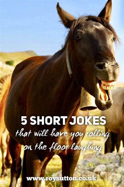 5 Short Jokes That Will Have You Rolling On The Floor Laughing Roy Sutton