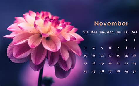 Free Download November 2019 Hd Wallpaper Calendar Latest Calendar