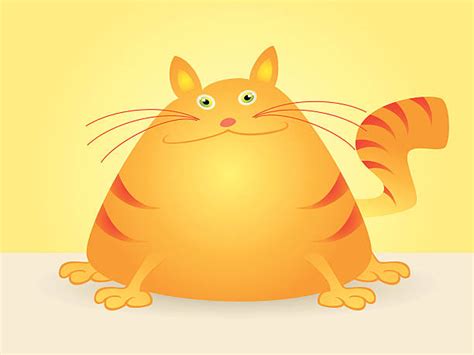 Fat Cat Illustration Stock Vectors Istock