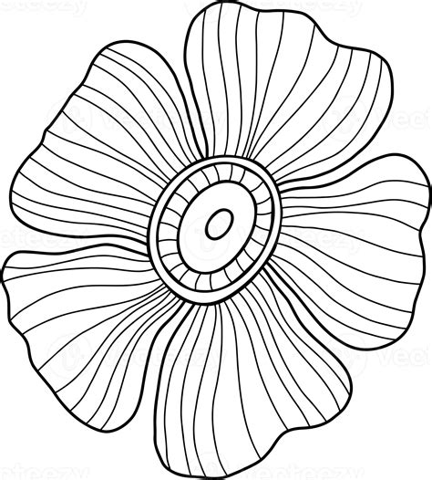 Flower Line Drawing 21797736 Png