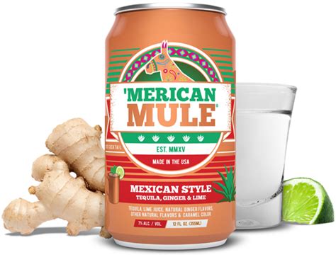 ‘merican Mule Mexican Style — Stone Fence Beverage