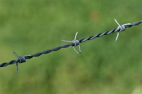 Filebarbed Wire Sc Victoria 1592007 Wikimedia Commons
