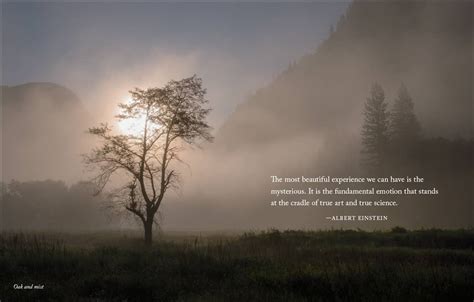 Yosemite Meditations Life Quotes Freedom Peace Inspirational