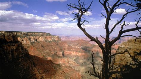 Grand Canyon Gives In To Creationist Suing For Religious Discrimination