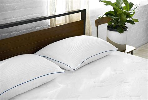 Related searches · search now · find answers · quality results Sleep Innovations Premium Shredded Gel Memory Foam Pillows ...